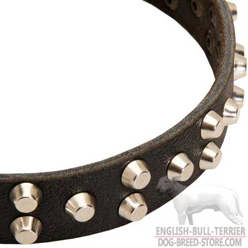 3 Rows of Studs on Stylish Leather Dog Collar