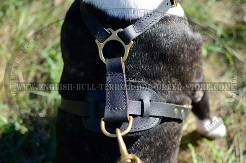Superb Design Back Plate of Padded Leather Dog Harness