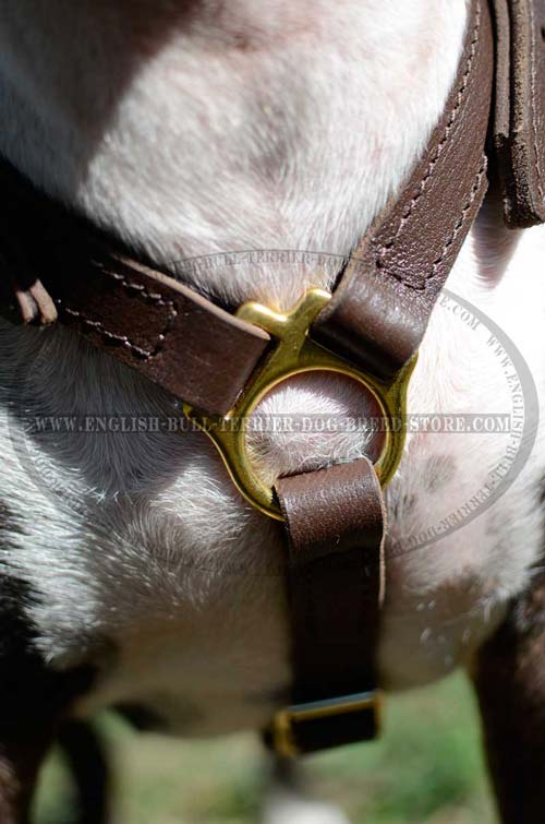 Solid Brass Ring of Walking Padded Leather Dog Harness