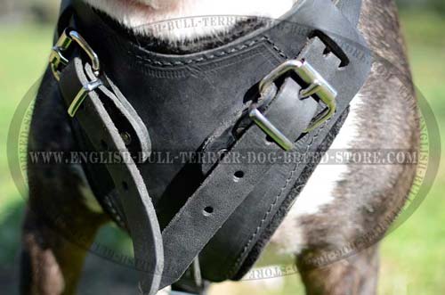 Padded Chest Plate of Leather Dog Harness for Comfy Training