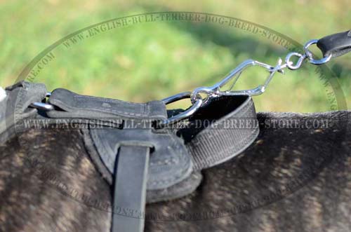 Solid Nickel Plated D-Ring on Training Leather Dog Harness