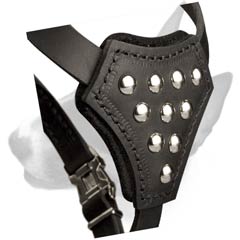Decorated with half-ball studs leather dog harness for Bull Terrier breed puppies