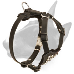 Durable Leather Bull Terrier harness for puppies