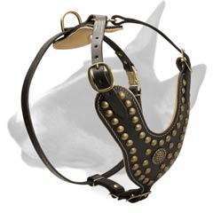 Leather harness with studs and brooch
