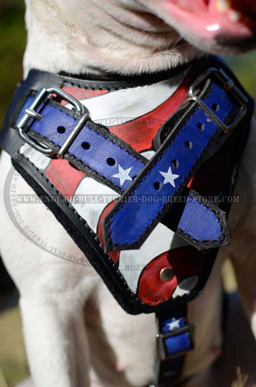 Painted dog harness