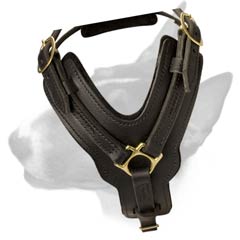 Elegant leather dog harness