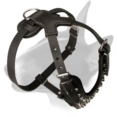 Leather dog harness for walking