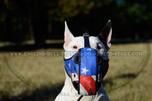 Leather muzzle for Bull Terrier