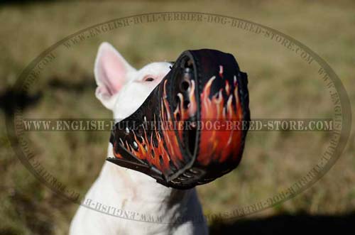 Leather muzzle for Bull Terrier attack training
