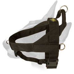 Reliable Nylon Bull Terrier Harness for Working Dogs