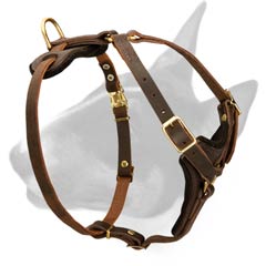 Leather dog harness for walkign and light training