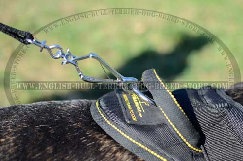 Dog harness with special control handle