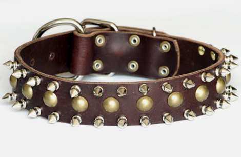 Studded Collar