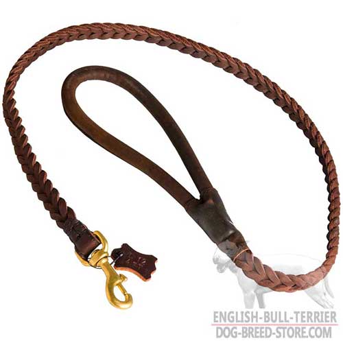 Designer Walking Leather Dog Leash for Bull Terrier with Handle