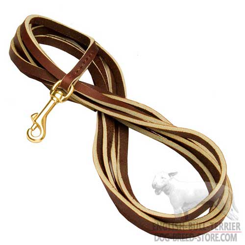 Bull Terrier Training Supplies: Extra Long Leather Dog Leash With Solid Brass Hook