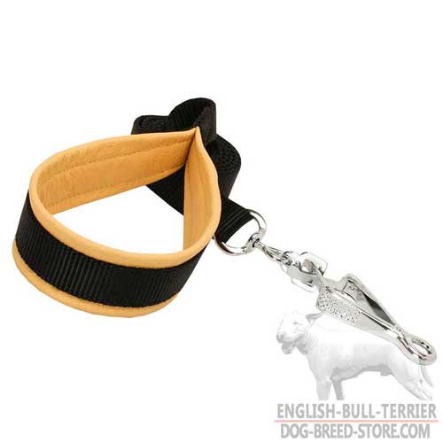 Reliable Nylon Dog Leash With Support Material On Handle