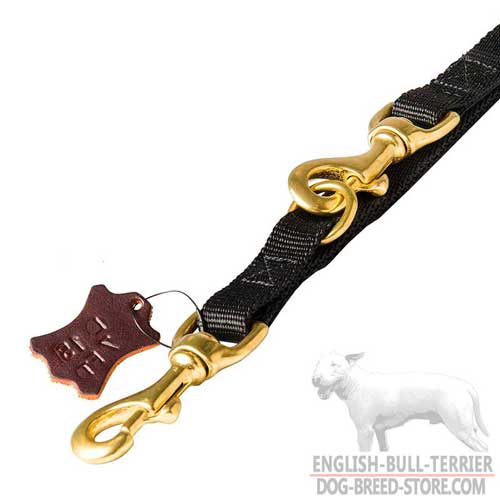 Extra Durable Brass Snap Hooks on Nylon Dog Leash