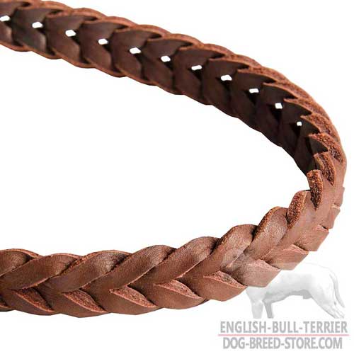 Strap of Fashion Leather Dog Leash for Bull Terrier