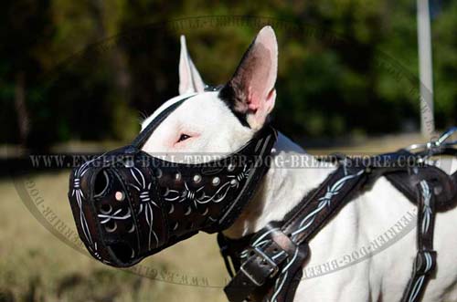Bull Terrier muzzle with creative painting 