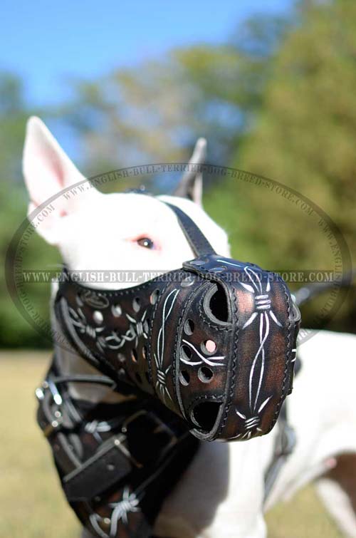 Stylish Leather English Bull Terrier Muzzle with Barbed Wire Painting