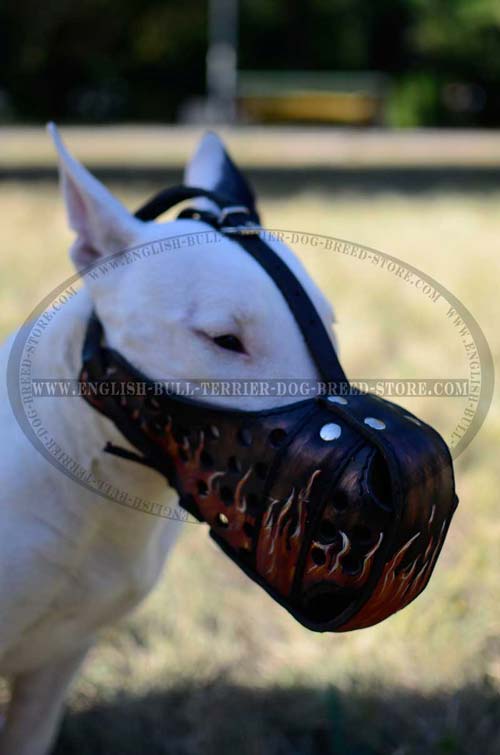 Leather Dog Muzzle for English Bull Terrier Decorated with Painted Flames