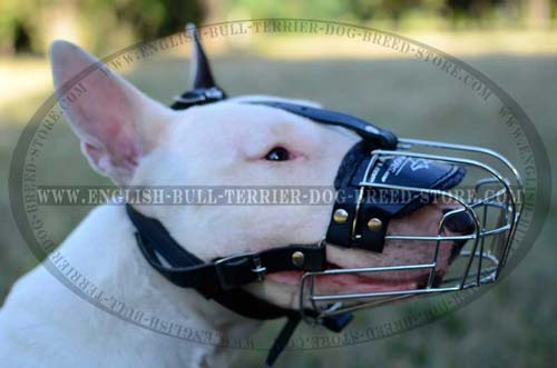 Bull Terrier Wire Basket Muzzle