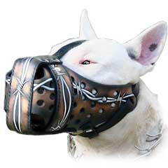 Bull Terrier Muzzle for stylish training sessions