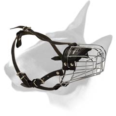 Bull Terrier Metal Muzzle with padding