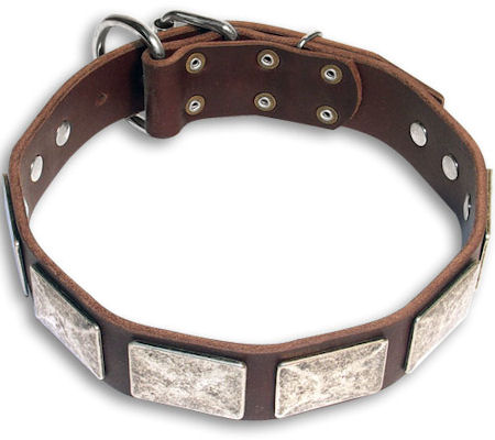 pitbull-collar-leather-dog-collar-big-collar-best-collar.jpg