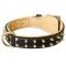 Nappa Padded Leather Bull Terrier Collar with Decorative Brass Spikes