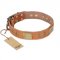 "The Middle Ages" FDT Artisan Handcrafted Tan Leather English Bull Terrier Collar