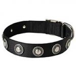 Nylon Dog Collar with Metal Decorative Circles