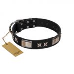 "Pitch Dark" FDT Artisan Black Leather English Bull Terrier Collar with Stars and Plates