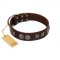 "Silver Sunset" Designer Handmade FDT Artisan Brown Leather English Bull Terrier Collar