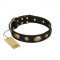 "Eye-Catcher" FDT Artisan Black Leather English Bull Terrier Collar for Walking in Style
