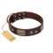 "Stone Stars" Stylish Handmade FDT Artisan Brown Leather English Bull Terrier Collar