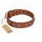 "Era Infinitum" FDT Artisan Tan Leather English Bull Terrier Collar Adorned with Chrome-plated Circles