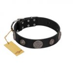 "Ad Infinitum" Durable FDT Artisan Black Leather English Bull Terrier Collar with Chrome Plated Brooches