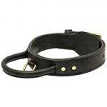 Training Leather Bull Terrier Collar With Reliable Handle