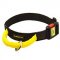 Nylon Bull Terrier Collar with Quick Release Buckle