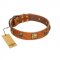 "Knights Templar" FDT Artisan Tan Leather English Bull Terrier Collar with Skulls and Crossbones Combined with Squares