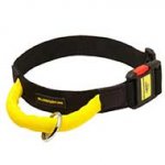 Nylon Bull Terrier Collar with Quick Release Buckle