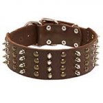 Extra Wide Designer Leather Bull Terrier Collar