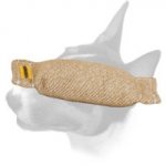 English Bull Terrier Puppy Bite Tug without Handles