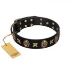 "Starry Saga" FDT Artisan Black Leather English Bull Terrier Collar with Stars and Skulls