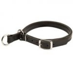 Adjustable Leather Bull Terrier Slip Collar