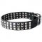 Gorgeous Wide Leather Bull Terrier Collar With Fancy Studs