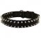 Spiked Design Nylon Bull Terrier Collar for Walking