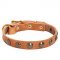Vintage Leather Bull Terrier Collar for Everyday Walking
