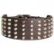 English Bull Terrier Large Genuine Leather Dog Collar Decorated with Studs